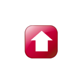 temperature icon